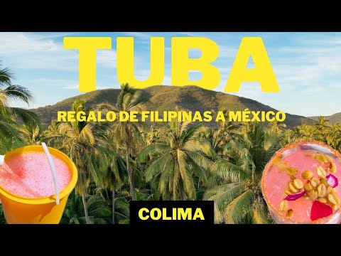 La tuba: La bebida herencia de Filipinas a México - Colima